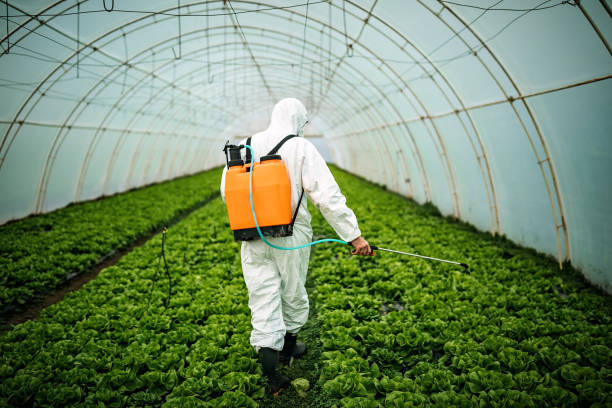 Best Local Pest Control Services  in Rkesburg, PA
