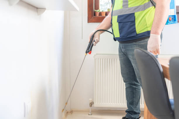 Best Local Pest Control Services  in Rkesburg, PA